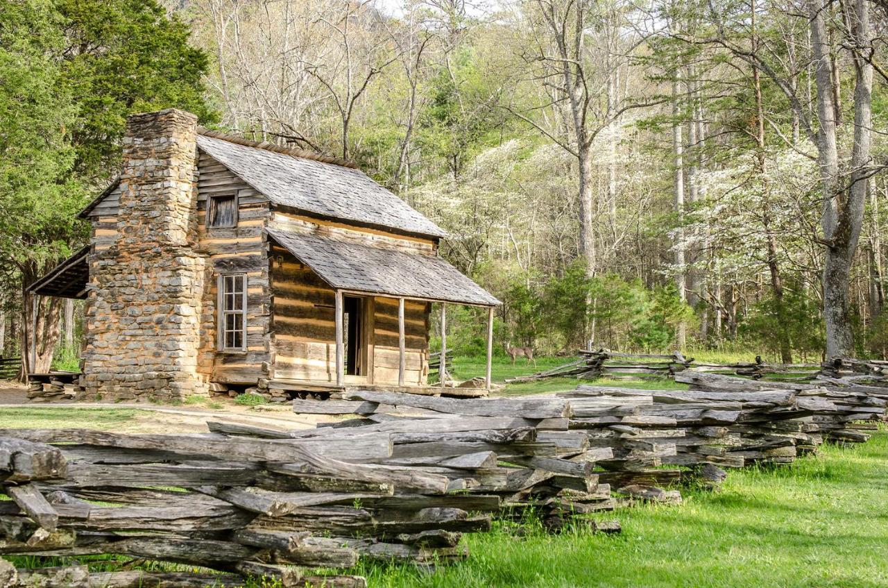 Lazy Cub Lodge Pigeon Forge Esterno foto