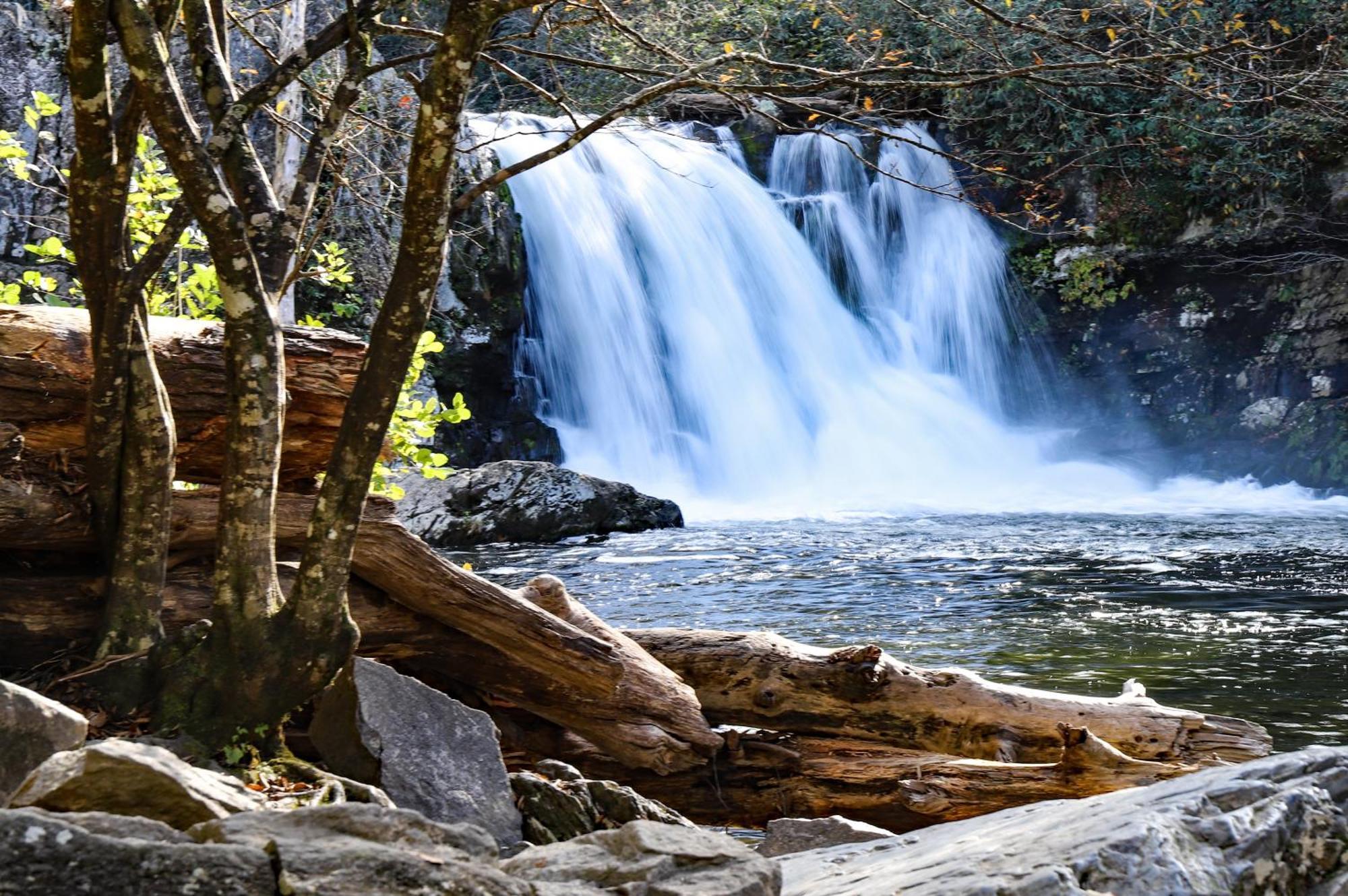 Lazy Cub Lodge Pigeon Forge Esterno foto